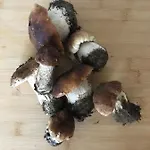 Mazurska Stodola Na Polwyspie Pilchowskim Дом отдыха Pilchy