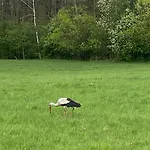 Дом отдыха Mazurska Stodola Na Polwyspie Pilchowskim Pilchy