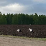 Mazurska Stodola Na Polwyspie Pilchowskim