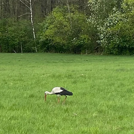 Сasa de vacaciones Mazurska Stodoła Na Półwyspie Pilchowskim Pilchy