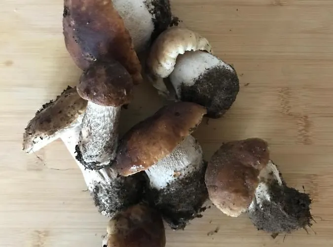 Mazurska Stodola Na Polwyspie Pilchowskim Holiday home Pilchy