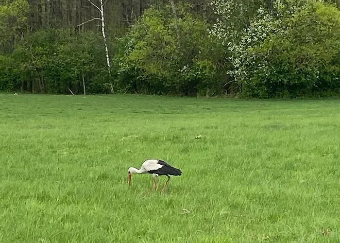 Holiday home Mazurska Stodola Na Polwyspie Pilchowskim Pilchy